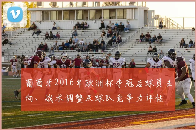 葡萄牙2016年欧洲杯夺冠后球员去向、战术调整及球队竞争力评估