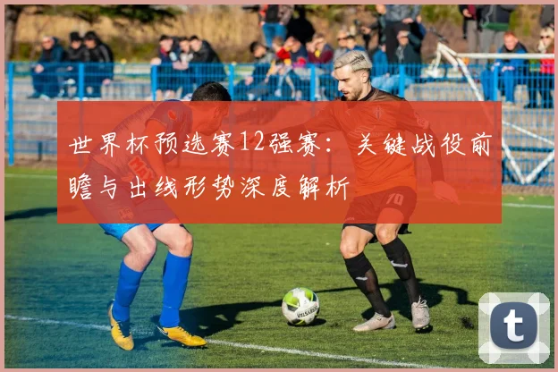 世界杯预选赛12强赛：关键战役前瞻与出线形势深度解析